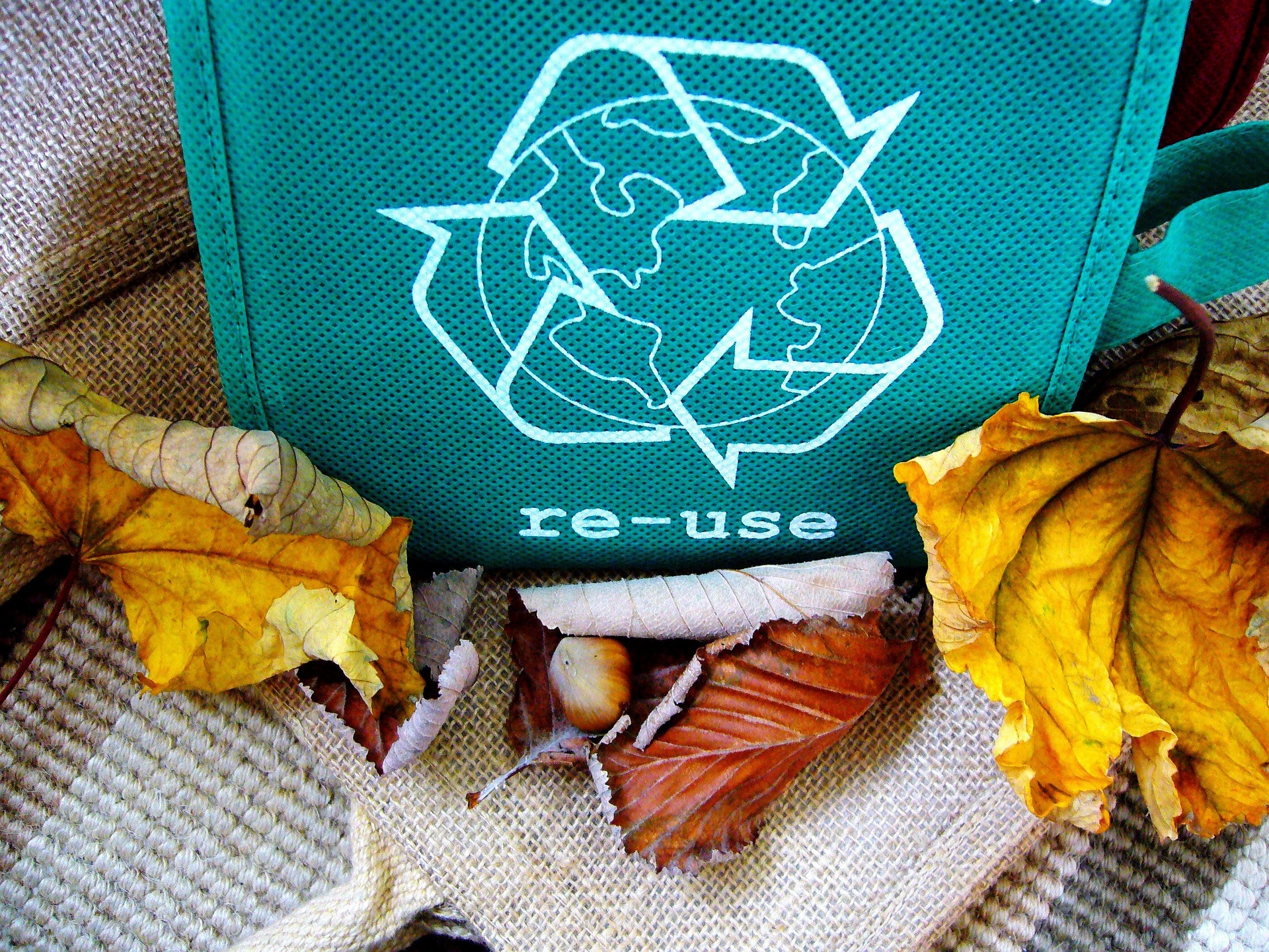 A reusable cloth bag sitting on a cloth with leaves. The bag has a recycling symbol and the phrase "re-use" written on it